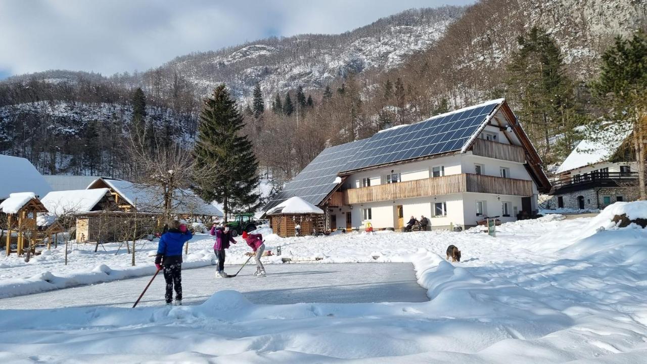 Domacija Loncnar- Apartment Bohinj Bagian luar foto
