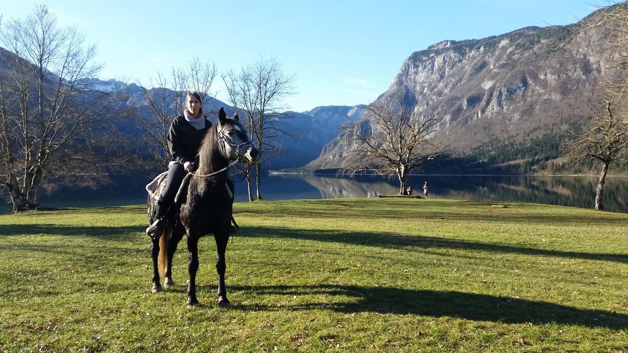 Domacija Loncnar- Apartment Bohinj Bagian luar foto